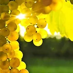 Nocleg ze śniadaniem Masseria Le Querciole