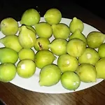 Nocleg ze śniadaniem Masseria Le Querciole 3*