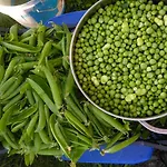 Masseria Le Querciole Nocleg ze śniadaniem 3*
