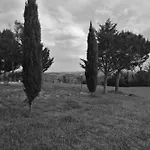 Masseria Le Querciole Fauglia
