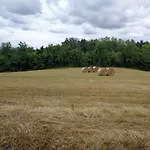 Masseria Le Querciole Nocleg ze śniadaniem 3*