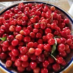 Masseria Le Querciole Nocleg ze śniadaniem Fauglia