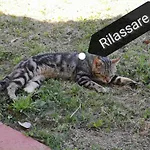 Nocleg ze śniadaniem Masseria Le Querciole 3*