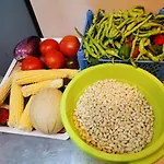 Nocleg ze śniadaniem Masseria Le Querciole 3*