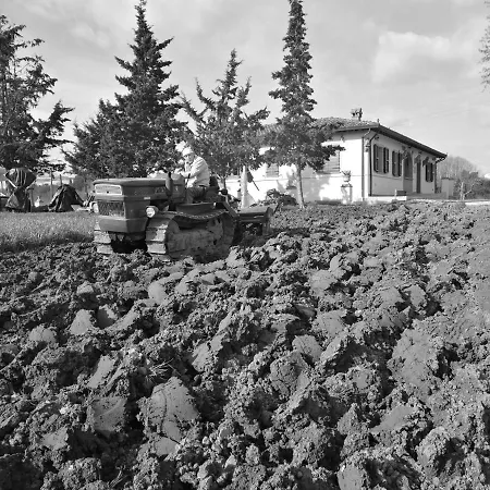 Bed & Breakfast Masseria Le Querciole