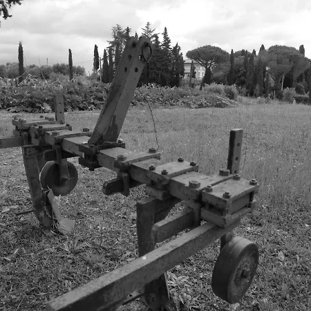 Masseria Le Querciole *