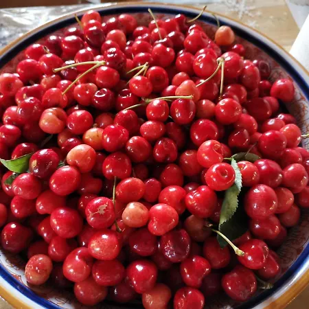 Masseria Le Querciole Couette-café Fauglia