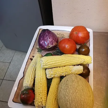 Masseria Le Querciole *