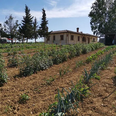 Masseria Le Querciole * Fauglia