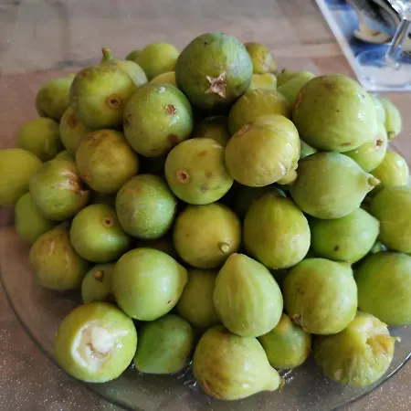 Masseria Le Querciole *