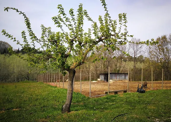Masseria Le Querciole Fauglia