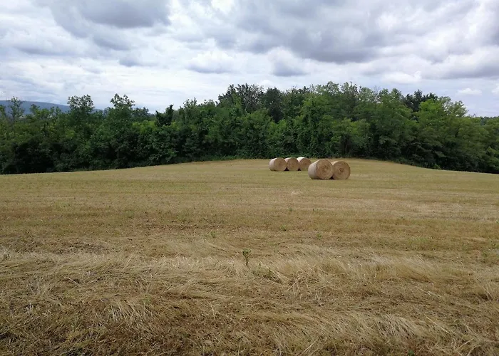 Masseria Le Querciole Bed & Breakfast 3*