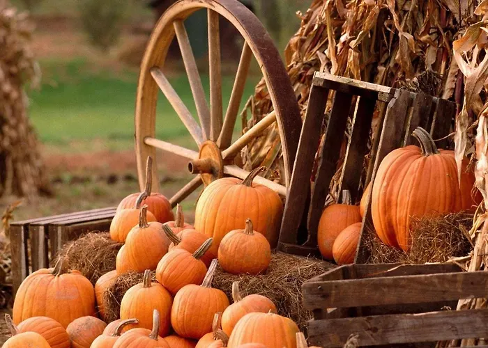 Masseria Le Querciole Fauglia