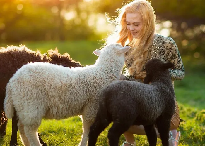 Masseria Le Querciole Bed & Breakfast Fauglia