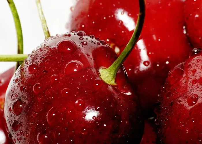 Masseria Le Querciole 3*