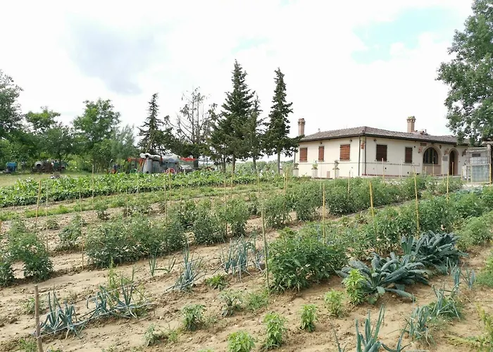 Bed & Breakfast Masseria Le Querciole