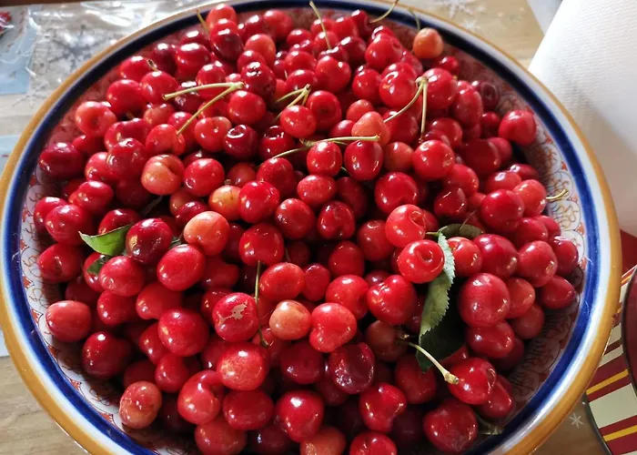 Masseria Le Querciole Bed & Breakfast Fauglia